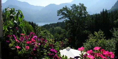Pensionen - Rüstorf - Garten - Pension s`Waldeck